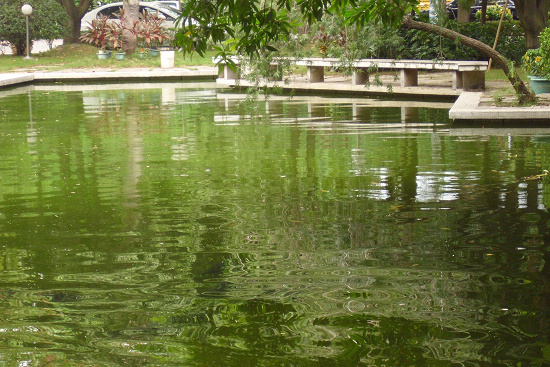 image003.jpg